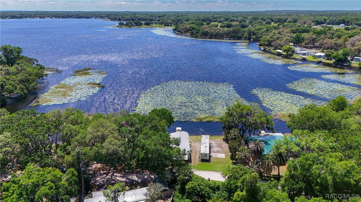 3818 N Webb Point, Hernando, Florida image 41