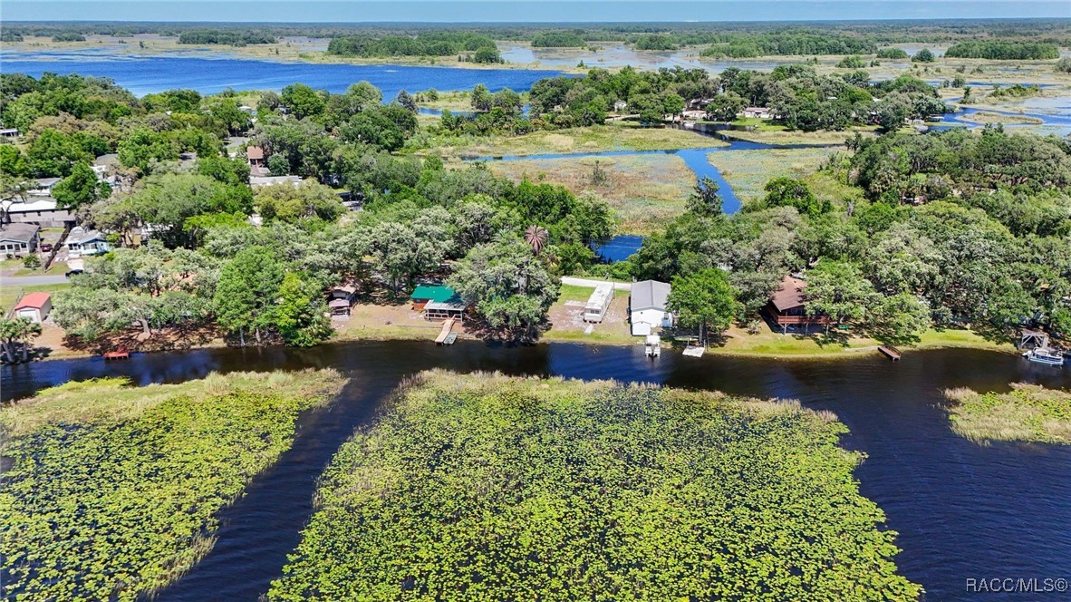 3818 N Webb Point, Hernando, Florida image 45