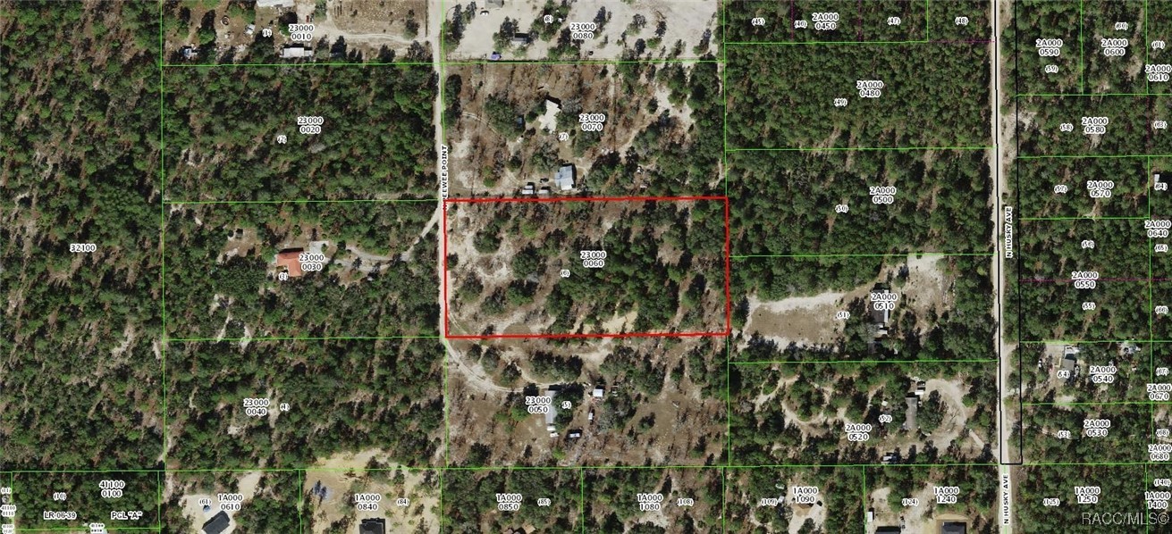 9097 N Peewee Point, Dunnellon, Florida image 7