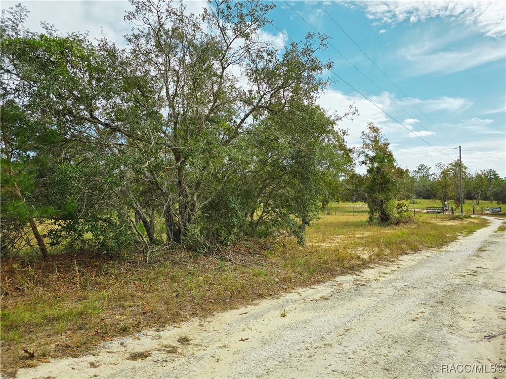 9097 N Peewee Point, Dunnellon, Florida image 6