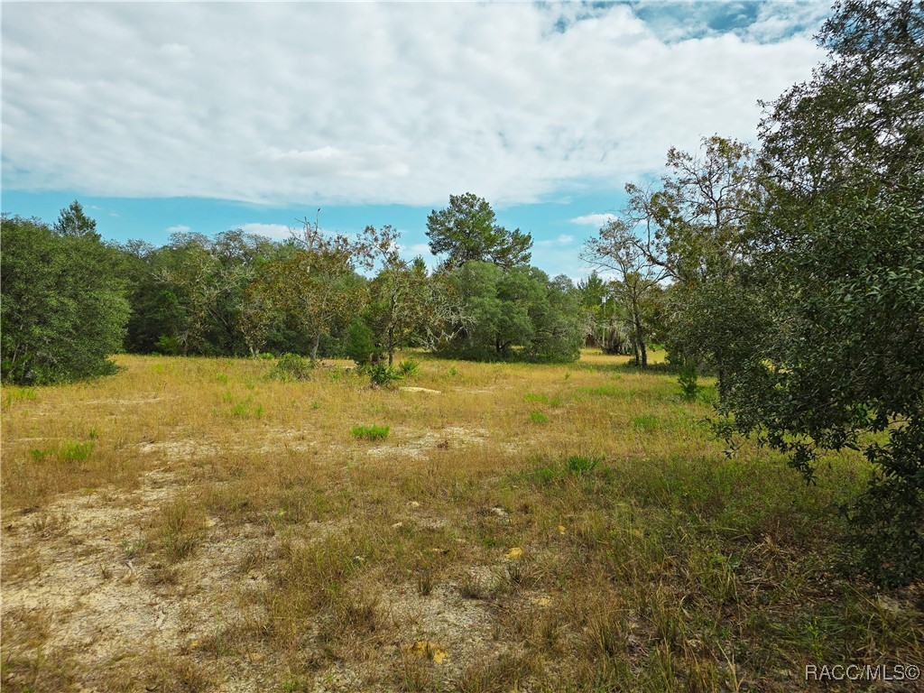 9097 N Peewee Point, Dunnellon, Florida image 3