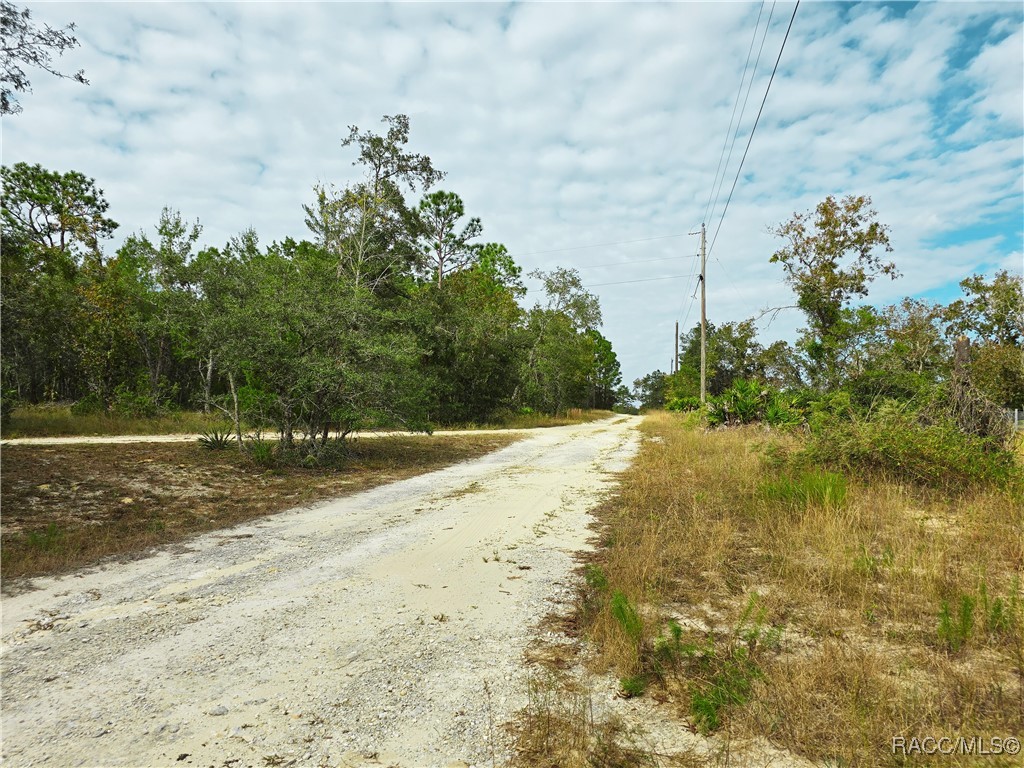 9097 N Peewee Point, Dunnellon, Florida image 5