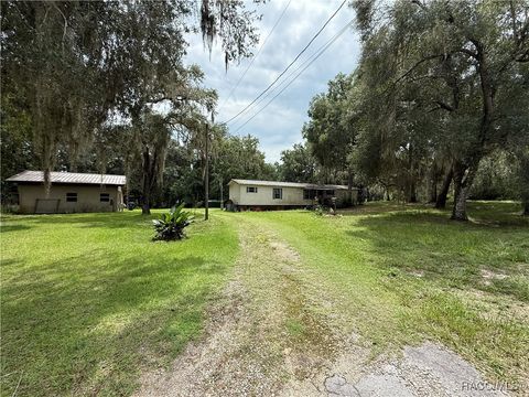 5875 S Marlin Drive Floral City FL 34436