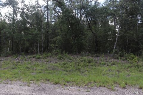 Vacant Land For Sale - 653 Vercelli Lane<br/> Dunnellon, FL 34434