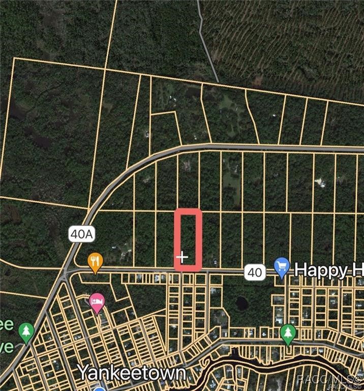 Lot 20 Highway 40, Yankeetown, Florida image 1
