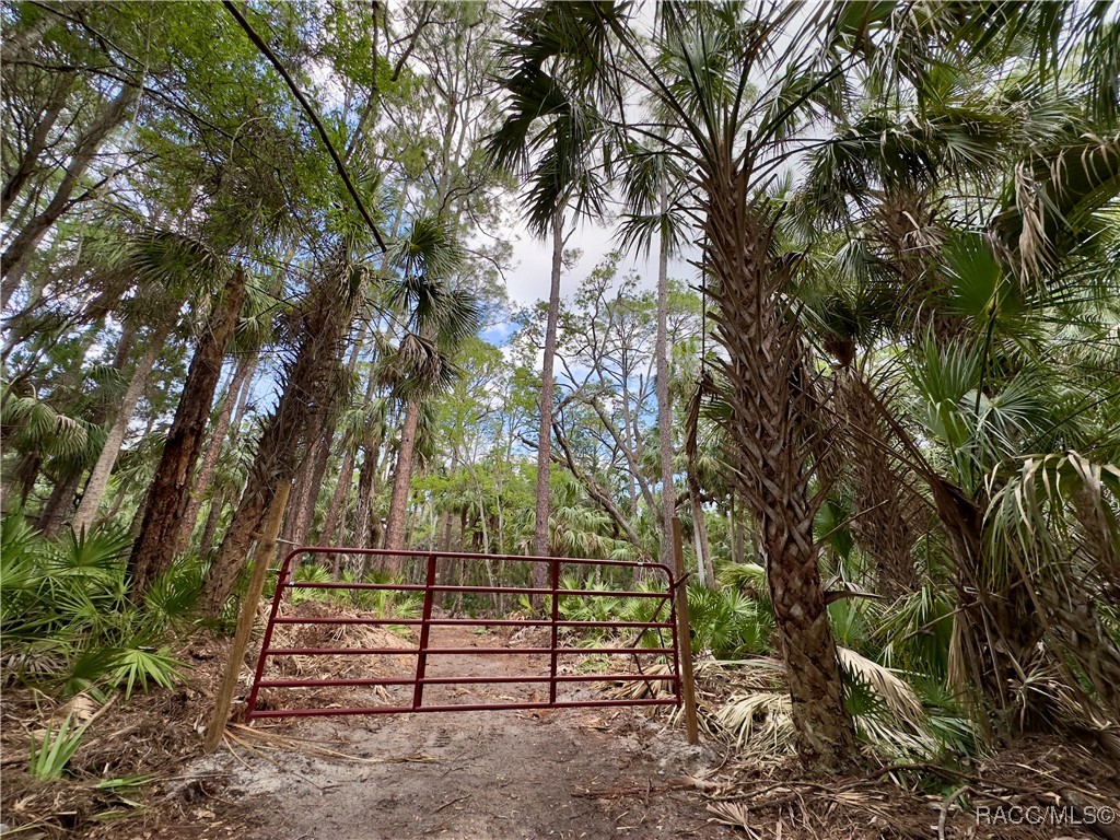 Lot 20 Highway 40, Yankeetown, Florida image 5