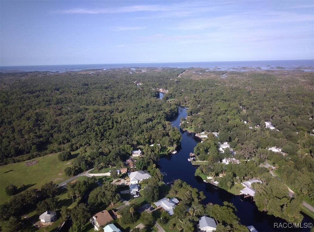 Lot 20 Highway 40, Yankeetown, Florida image 6