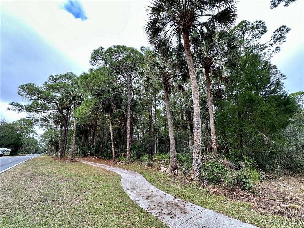 Lot 20 Highway 40, Yankeetown, Florida image 2