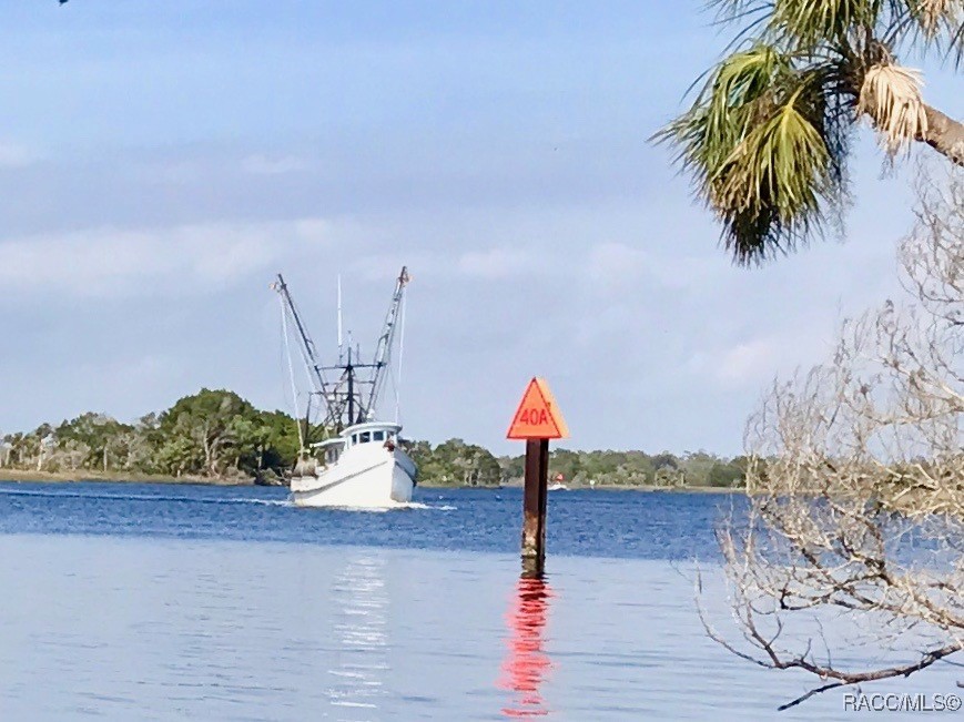 Lot 20 Highway 40, Yankeetown, Florida image 8