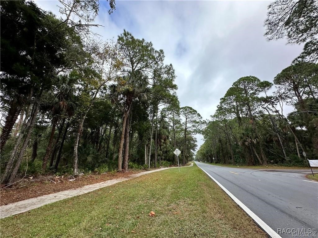Lot 20 Highway 40, Yankeetown, Florida image 4