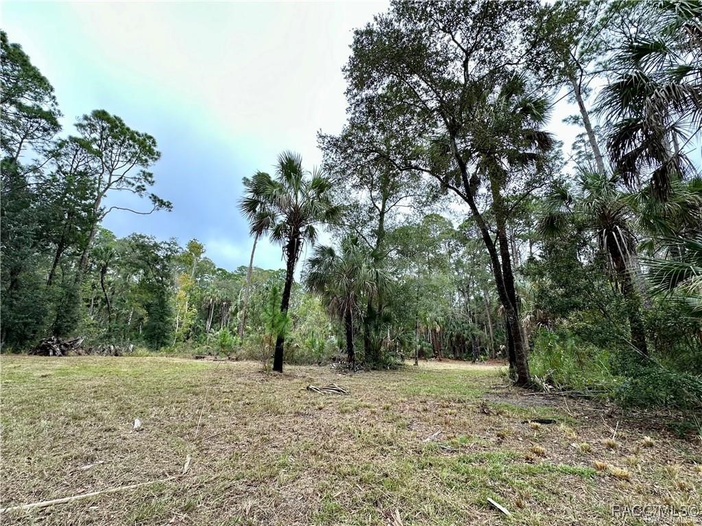 Lot 20 Highway 40, Yankeetown, Florida image 3