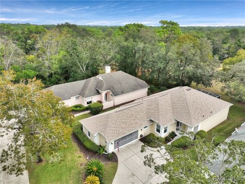 A home in Homosassa