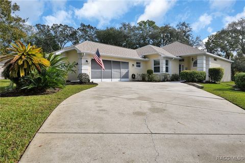 A home in Homosassa