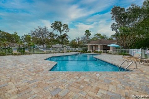 A home in Homosassa