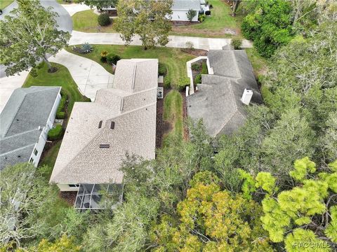 A home in Homosassa