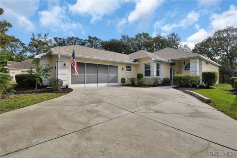 A home in Homosassa