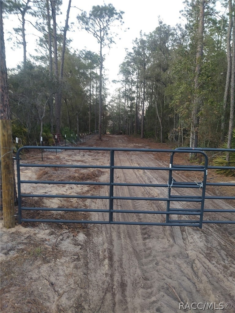 5499 N Gonzo Point