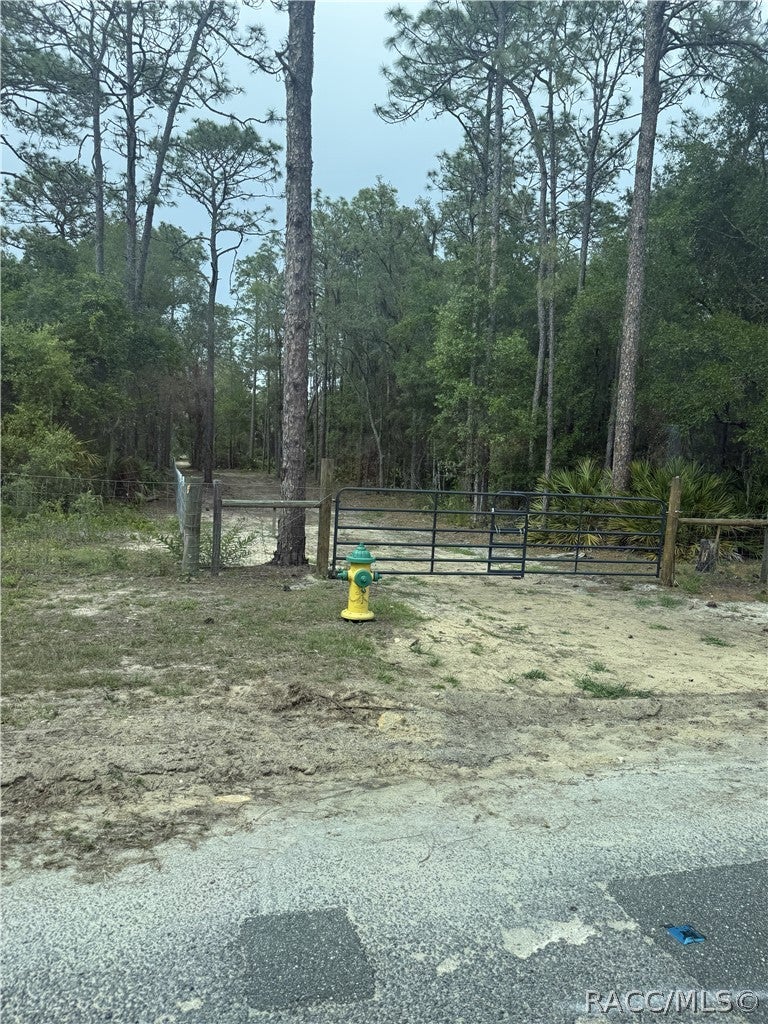5499 N Gonzo Point