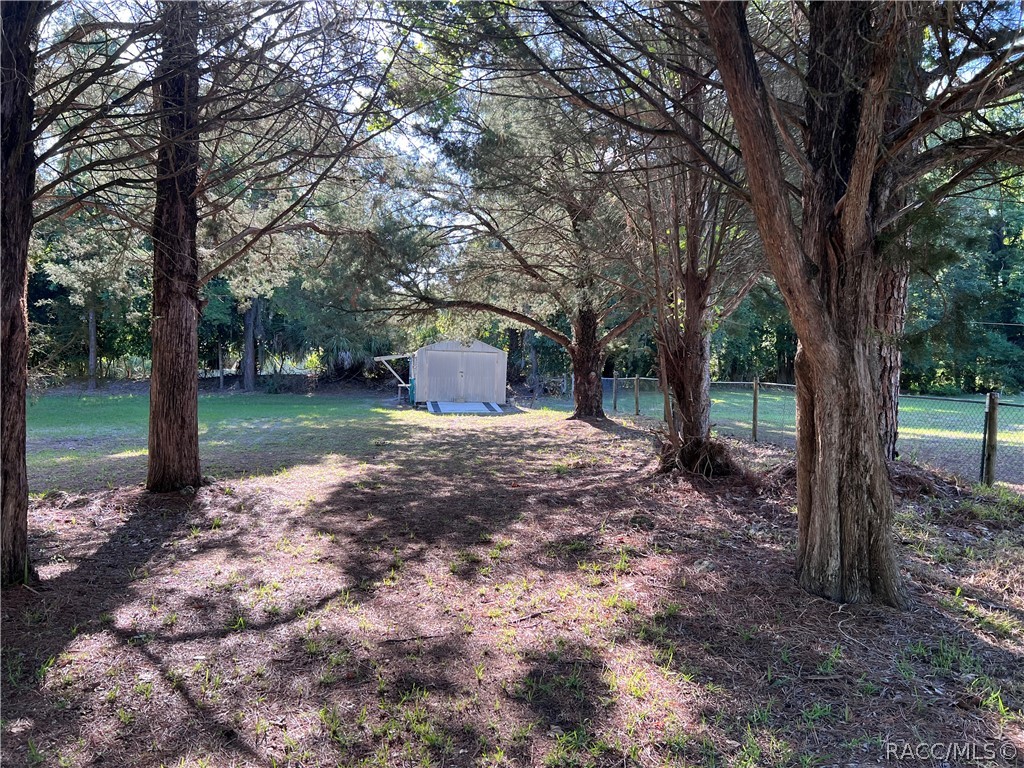 11485 N Ginny Lane Point, Inglis, Florida image 8