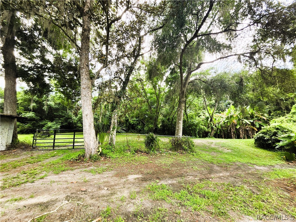 6849 Turner Camp Road, Inverness, Florida image 40