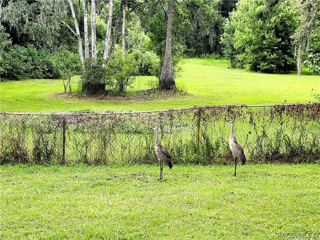 6849 Turner Camp Road, Inverness, Florida image 34