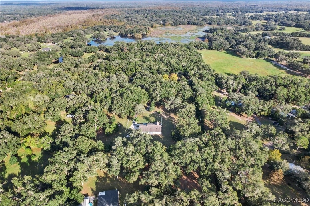 10235 E Trails End Road, Floral City, Florida image 48