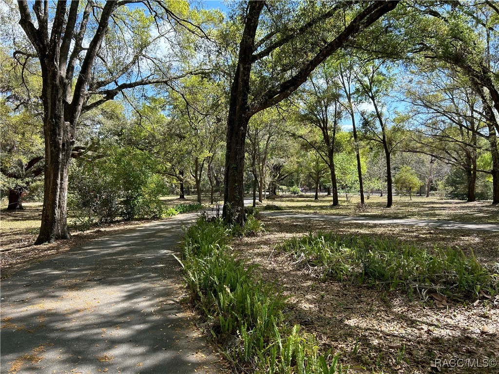 10235 E Trails End Road, Floral City, Florida image 46