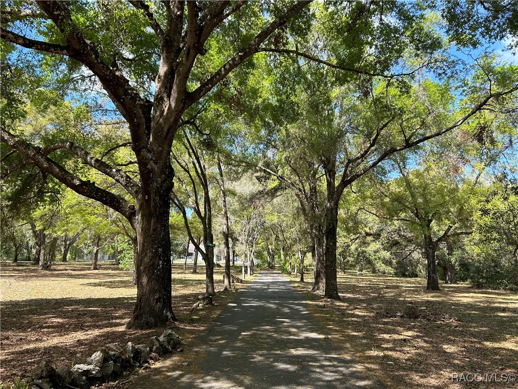 10235 E Trails End Road, Floral City, Florida image 3