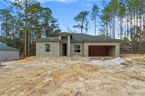 A home in Citrus Springs