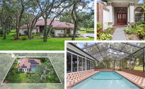 330 E Ireland Court Hernando FL 34442