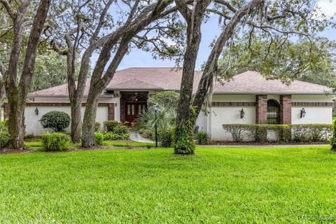 330 E Ireland Court Hernando FL 34442