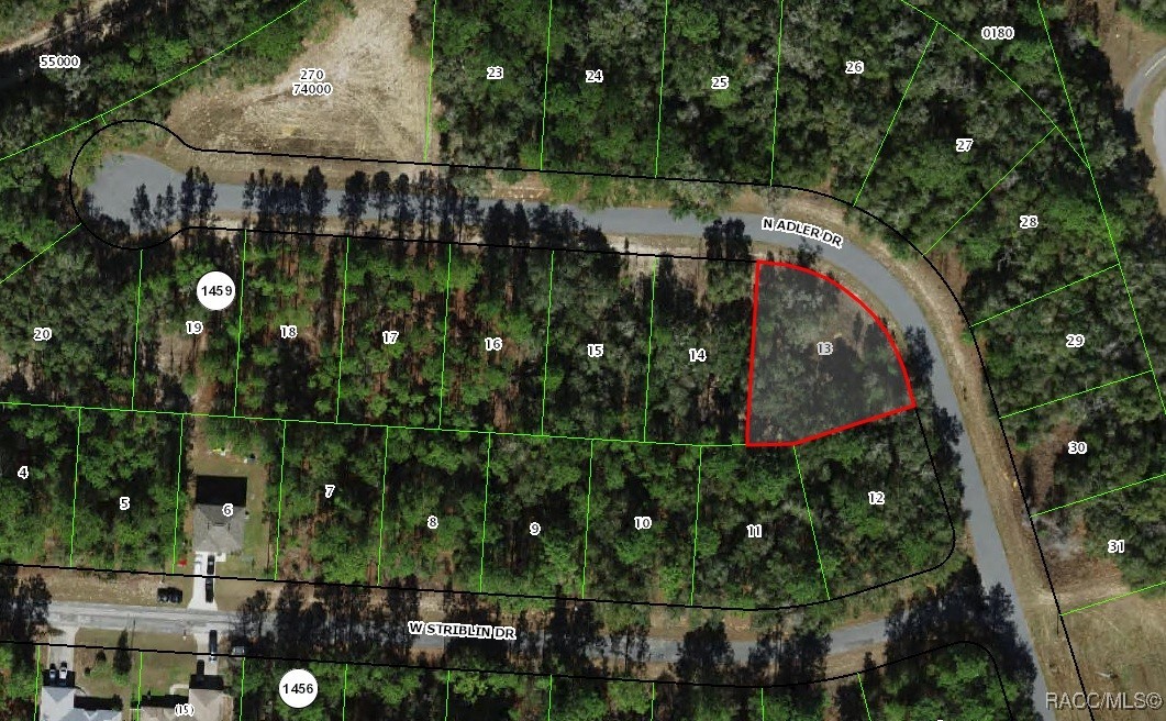 11208 N Adler Drive, Citrus Springs, Florida image 1