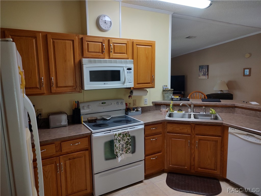 5451 County Road 573, Center Hill, Florida image 10