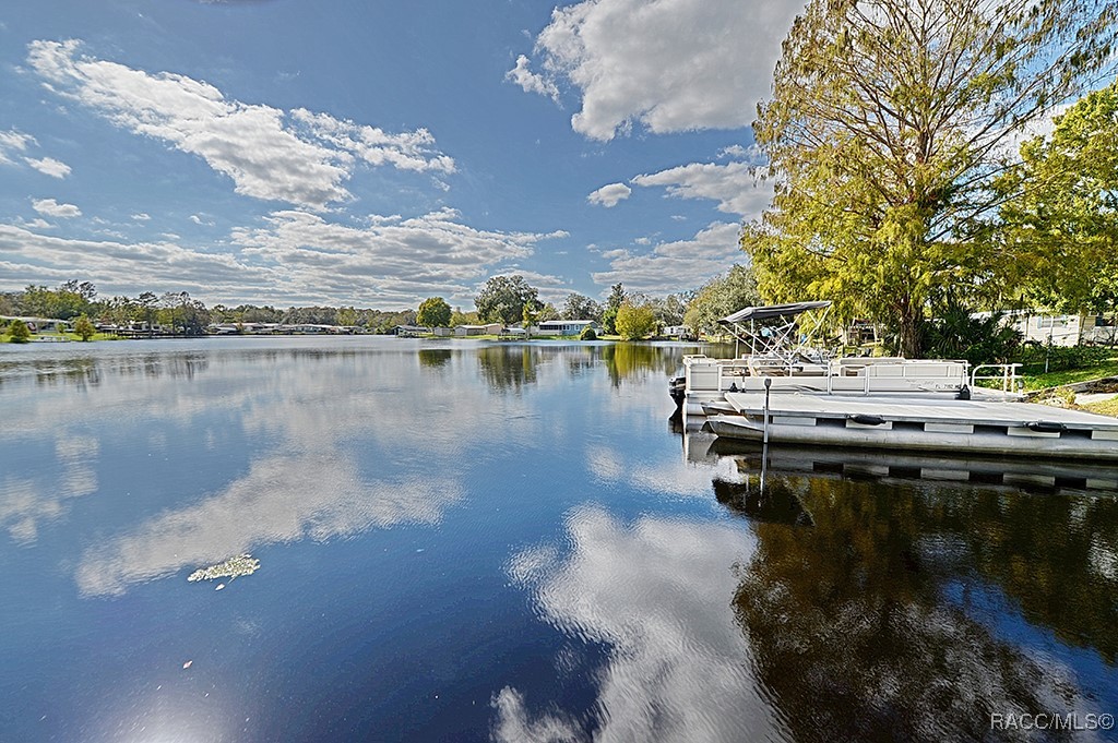 10228 E Pike Drive, Inverness, Florida image 42