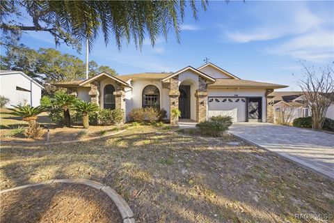 5381 W Heather Ridge Path Lecanto FL 34461