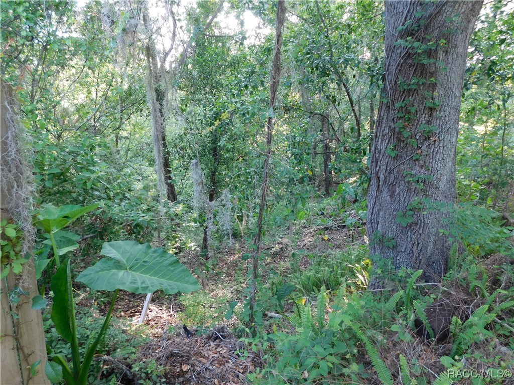 7231 E Stage Coach Trail, Floral City, Florida image 33