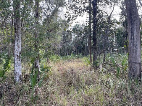 Vacant Land For Sale - 11106 W Townsend Lane<br/> Homosassa, FL 34448