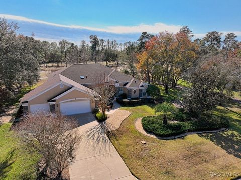 10 Quailwood Path Homosassa FL 34446