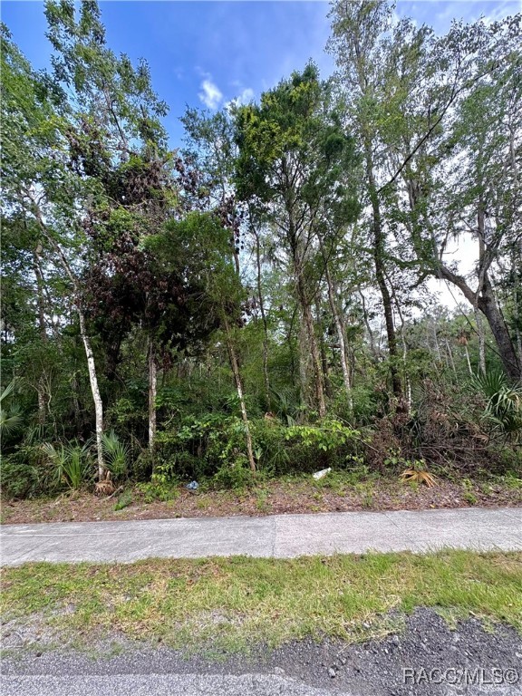 1430 NW 19th Street, Crystal River, Florida image 2