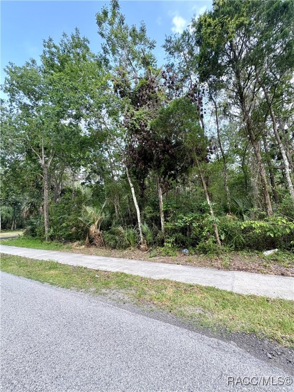 1430 NW 19th Street, Crystal River, Florida image 1