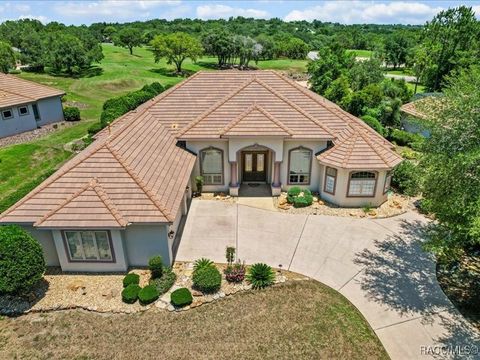 2622 N Carnoustie Loop Lecanto FL 34461