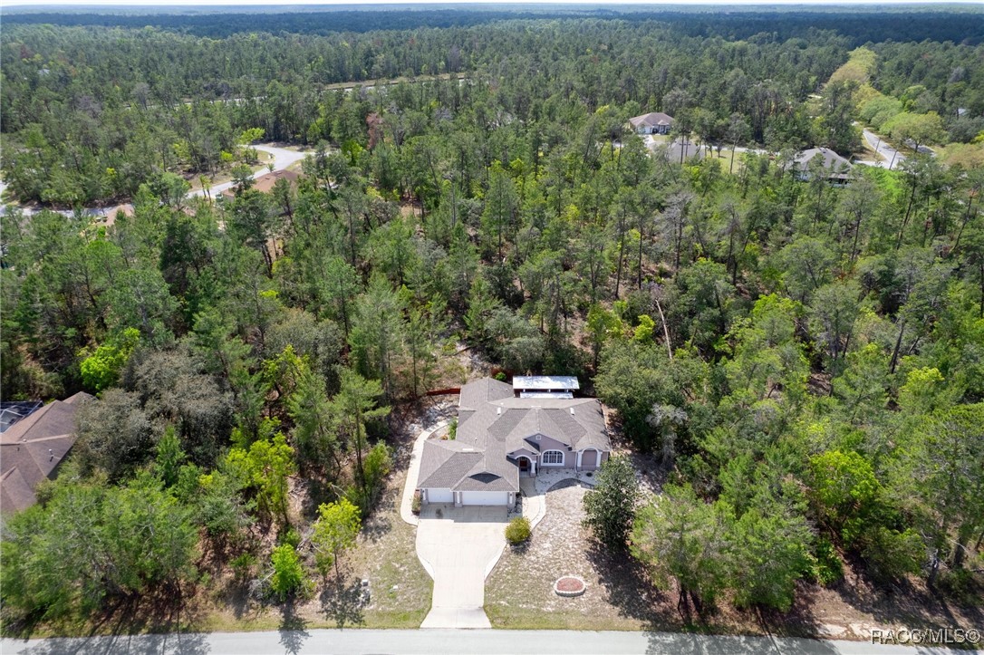 6 Statice Court, Homosassa, Florida image 18