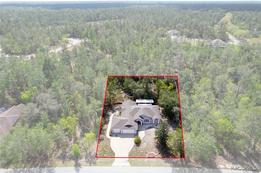 6 Statice Court, Homosassa, Florida image 19