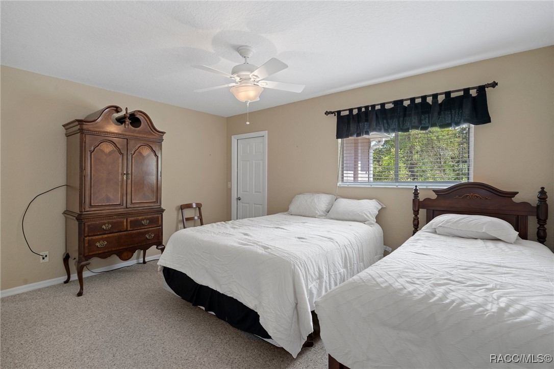 6 Statice Court, Homosassa, Florida image 11