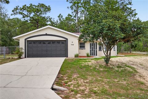 Homes For Sale - 799 W Wycliffe Lane<br/> Citrus County, Citrus Springs, FL 34434
