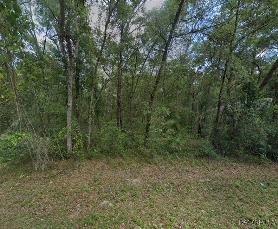 3636 E Maxwell Place, Inverness, New York image 1