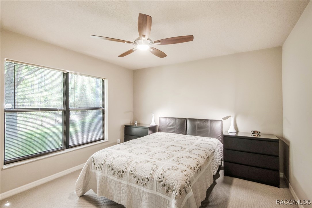 3 Milbark Court, Homosassa, Florida image 22