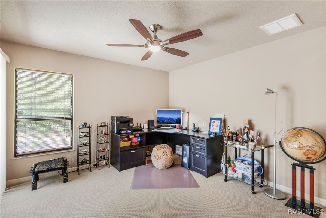 3 Milbark Court, Homosassa, Florida image 25