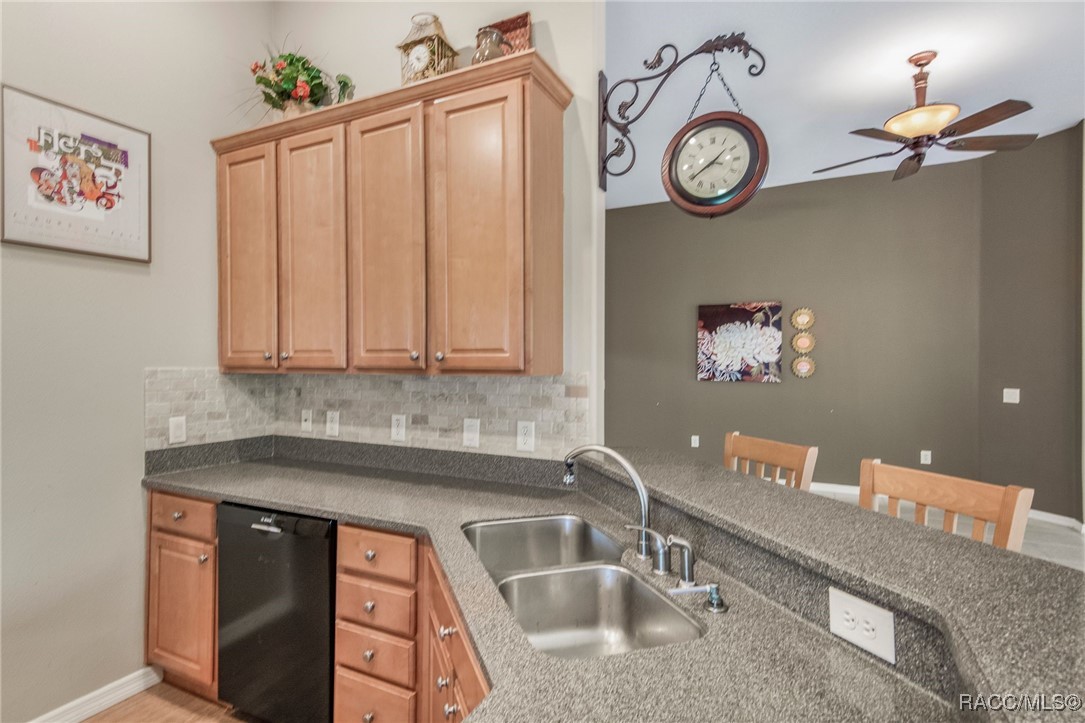 1052 W Diamond Shore Loop, Hernando, Florida image 14