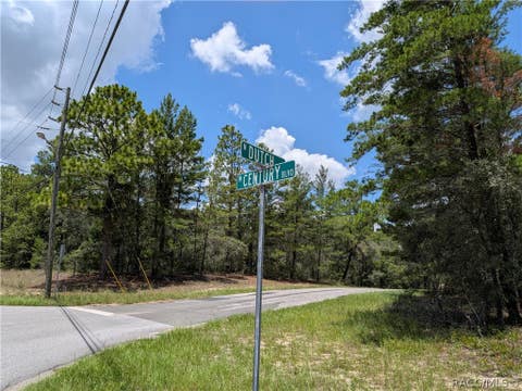 Vacant Land For Sale - 3777 W Century Boulevard<br/> Citrus County, Dunnellon, FL 34433